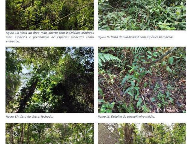 #21 - Área para Venda em Ubatuba - SP - 2